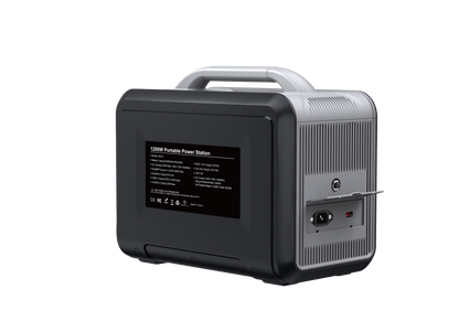 1000W Portable Generators